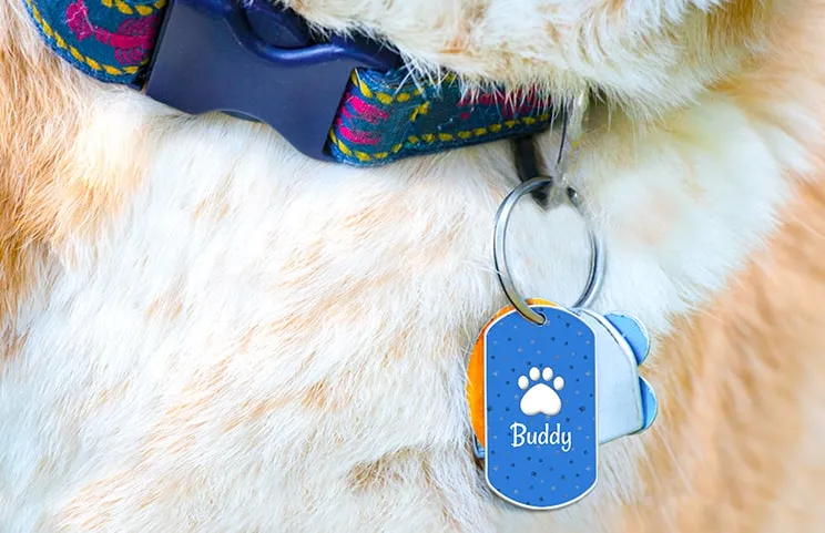 Custom Pet Tag|Custom Dog Tag|Custom Dog Tag|Custom Dog Tag|Custom Dog Tag|Custom Dog Tag|||||