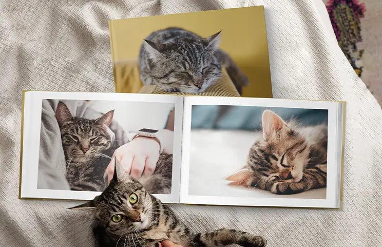 Custom Cat Photo Book||||||||||